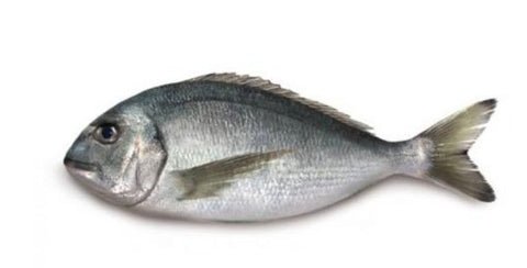 Wild Sea Bream Whole Cleaned 500g Wild Sea Bream Whole Cleaned 500g — premium quality