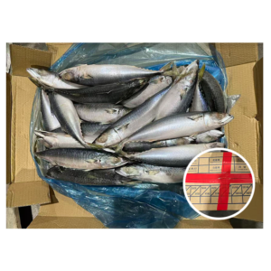 Winter Caught Land Frozen Pacific Mackerel