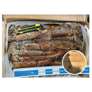 Xingbang Brand 10kg Carton Indian Ocean