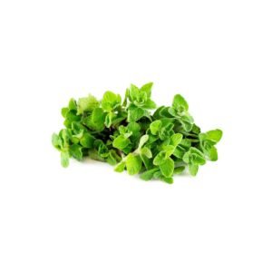 Zaatar Jordan 250g Zaatar Jordan 250g — premium quality