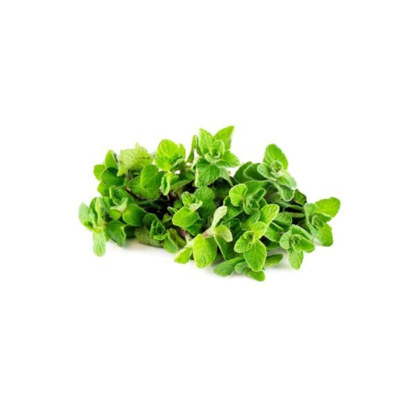Zaatar Jordan 250g Zaatar Jordan 250g — premium quality