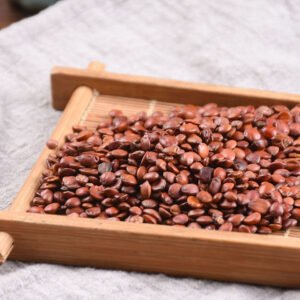 Zizyphus Jujuba Seed Spine Date Seeds