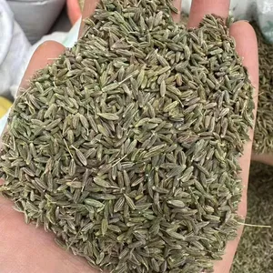 Wholesale cumin for bulk supply and export