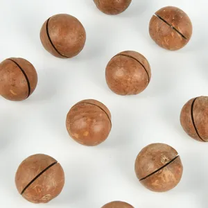 Wholesale macadamia for bulk supply and export