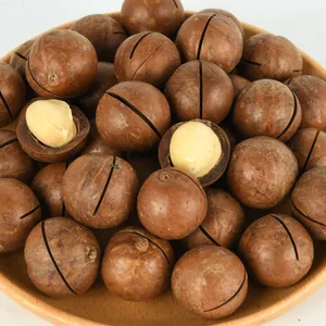 Wholesale macadamia for bulk supply and export