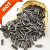 Wholesale sunflower seed for bulk supply and export