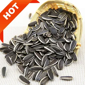Wholesale sunflower seed for bulk supply and export