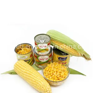 Wholesale corn for bulk supply and export