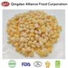 Wholesale corn for bulk supply and export