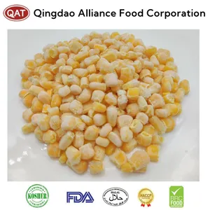 Wholesale corn for bulk supply and export
