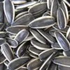 Wholesale sunflower seed for bulk supply and export