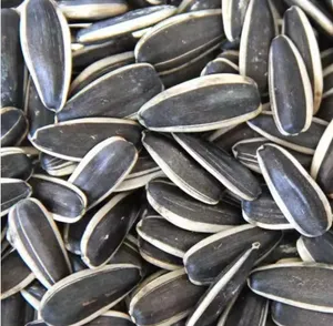 Wholesale sunflower seed for bulk supply and export