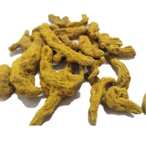 Wholesale turmeric for bulk supply and export