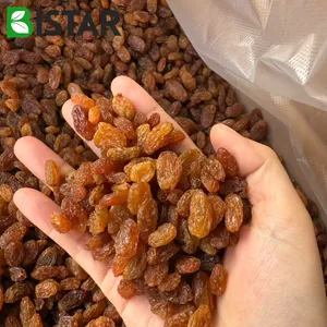 Wholesale raisin for bulk supply and export
