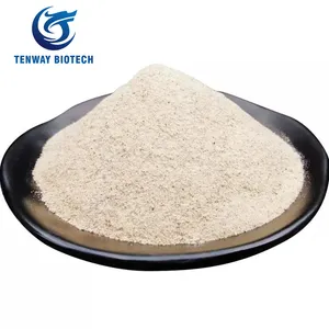Wholesale white pepper for bulk supply and export