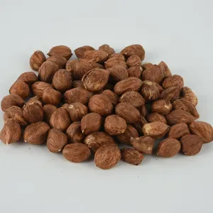 Wholesale hazelnut for bulk supply and export