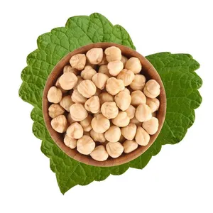 Wholesale hazelnut for bulk supply and export
