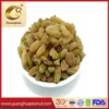 Wholesale raisin for bulk supply and export