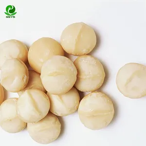 Wholesale macadamia for bulk supply and export