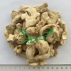 Wholesale ginger for bulk supply and export