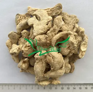 Wholesale ginger for bulk supply and export