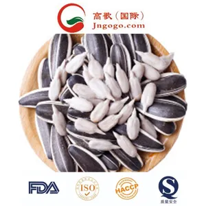 New-Crop-High-Quality-Sunflower-Seeds-601-363-Supplier Wholesale sunflower seed for bulk supply and export