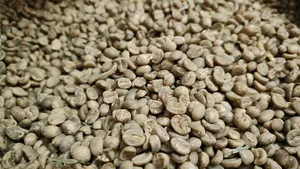 Wholesale coffee bean for bulk supply and export