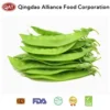 Wholesale cardamom for bulk supply and export