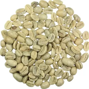 Wholesale robusta for bulk supply and export