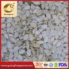 Wholesale pumpkin seed for bulk supply and export