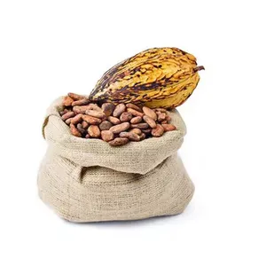 Wholesale vanilla for bulk supply and export