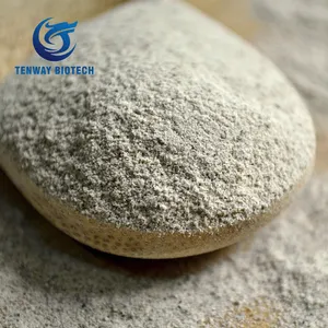 Wholesale white pepper for bulk supply and export
