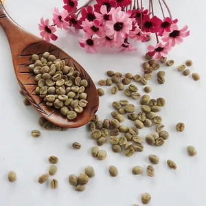 Wholesale coffee bean for bulk supply and export