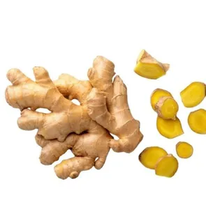 Wholesale ginger for bulk supply and export