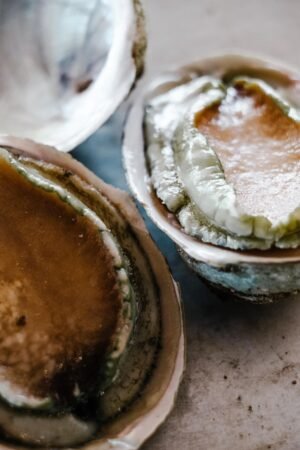 New Season for Abalone Product Abalone - wholesale supplier | AgroFoods Global