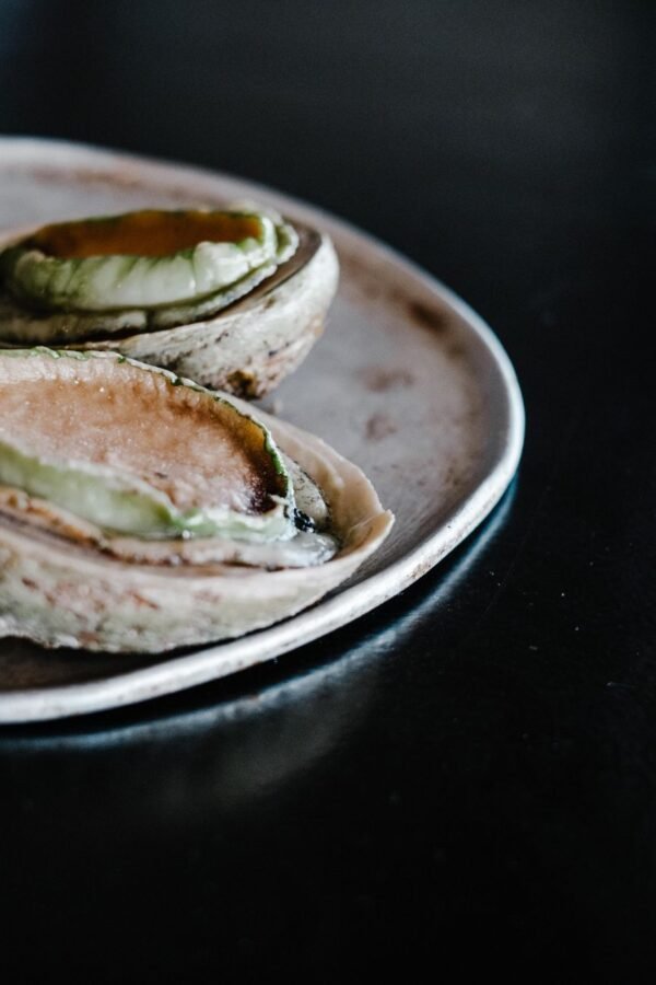 Crunchy and Sandy Frozen Seasoned Abalone - wholesale supplier | AgroFoods Global
