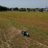 1ton h Agricultural Automatic Double Screw - wholesale supplier | AgroFoods Global