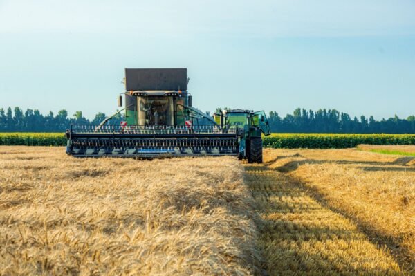 1ton h Agricultural Floating Feeds Making - wholesale supplier | AgroFoods Global