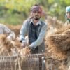 Agriculture Tubeless Loader Bias Truck Tires - wholesale supplier | AgroFoods Global