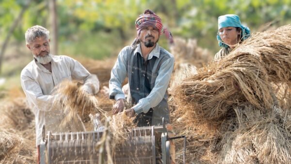 Agriculture Tubeless Loader Bias Truck Tires - wholesale supplier | AgroFoods Global