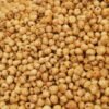 Agro Commodities — Bulk & Wholesale Supply Carrots 1kg UAE – Premium Fresh Carrots for Wholesale & Retail - wholesale supplier | AgroFoods Global