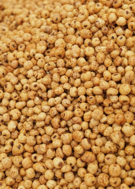 Agro Commodities — Bulk & Wholesale Supply Carrots 1kg UAE – Premium Fresh Carrots for Wholesale & Retail - wholesale supplier | AgroFoods Global