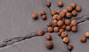 Cassia Cinnamon Stick Powder Allspice Piece - wholesale supplier | AgroFoods Global