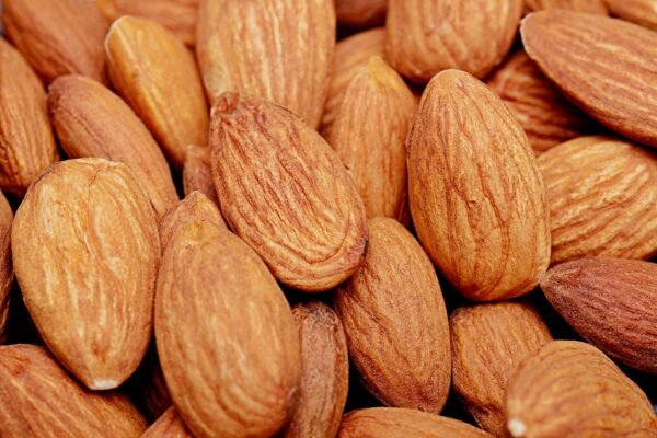 Almond — Bulk & Wholesale Supply Ecomil Sugar Free Almond Milk, 1L – Wholesale & Export UAE - wholesale supplier | AgroFoods Global