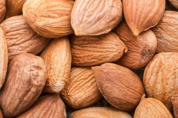 Almond — Bulk & Wholesale Supply Almond USA - wholesale supplier | AgroFoods Global