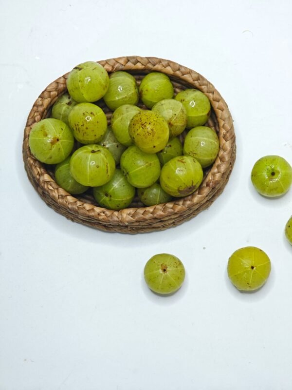 Dabur Amla Hair Oil Green 200ml – Wholesale & Export UAE - wholesale supplier | AgroFoods Global