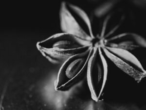 Natural Whole Star Anise Food Grade - wholesale supplier | AgroFoods Global