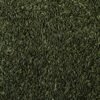 Aniseed — Bulk & Wholesale Supply Wholesale Star Aniseed Supplier In UAE Bulk Star Aniseed Exp - wholesale supplier | AgroFoods Global