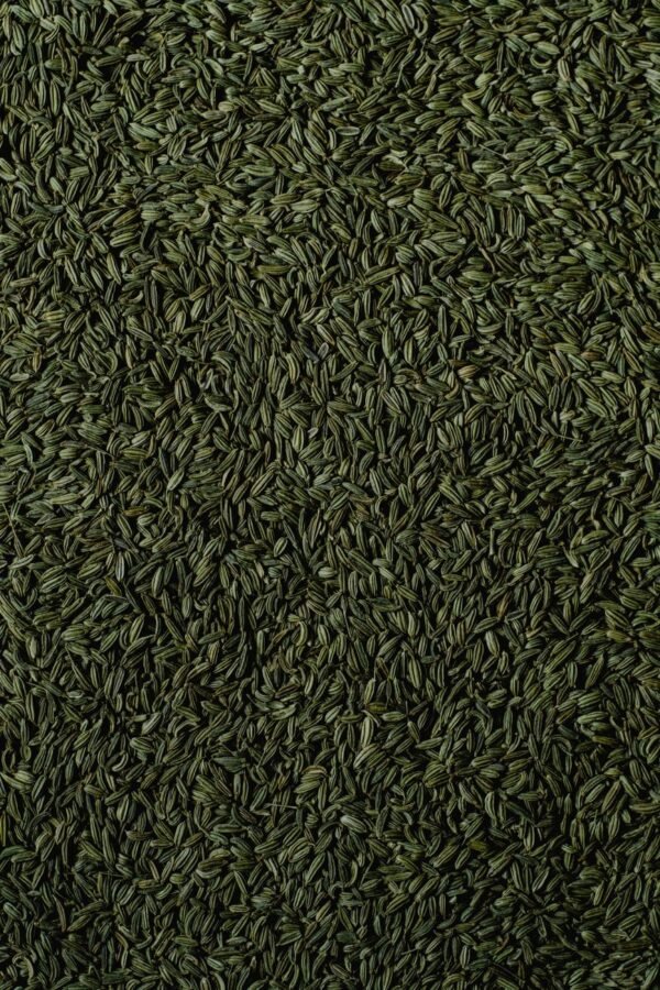 Aniseed — Bulk & Wholesale Supply Wholesale Star Aniseed Supplier In UAE Bulk Star Aniseed Exp - wholesale supplier | AgroFoods Global