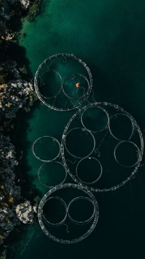Feed Complex Enzymes Aquaculture Fish Prawns - wholesale supplier | AgroFoods Global